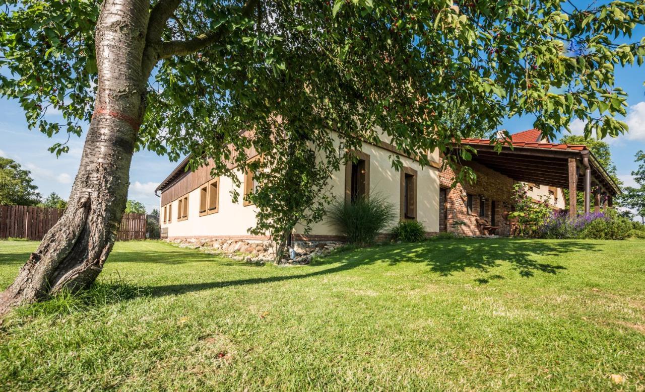 Penzion U Lisky Jarosov nad Nezarkou Exteriör bild